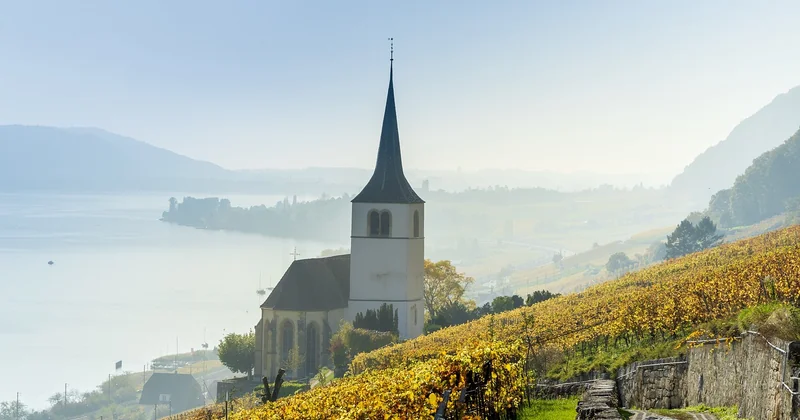 Quelle saison pour un séjour dans les vignobles provençaux